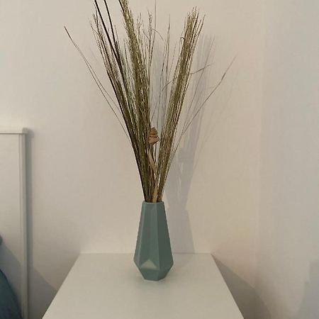 Studio saint cyprien Esterno foto